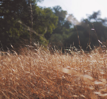 斯托克城客场受挫，教练组展开调整和分析